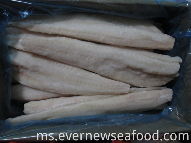 FAO 67 alaska pollock fish alaska pollock fillet beku